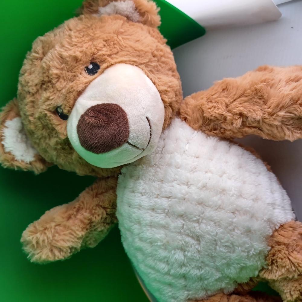Cute Brown and White Teddy Bear - Picture 7 of 8